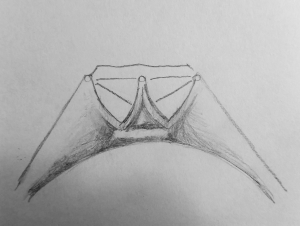 ring_sketch_4_2.jpg