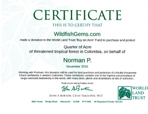 wltcertificaterainforest.jpg