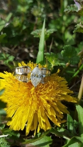 dandy_ring2.jpg dandy_ring2.jpg