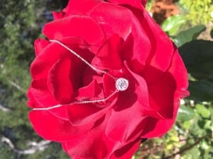 img_1837_1.jpg