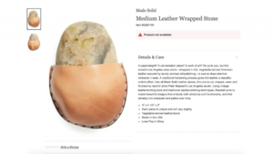 161207093642-nordstrom-rock-sold-out-780x439.png