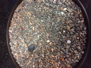 image_4513.jpg