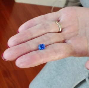 2ndsapphirefromwildfishblue1_0.jpg