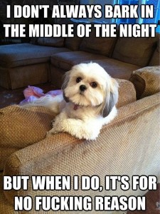 More-Funny-Dog-Memes-07.jpg