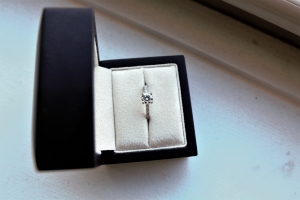 anillo3.jpg