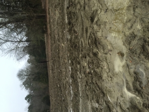 image_4535.jpg