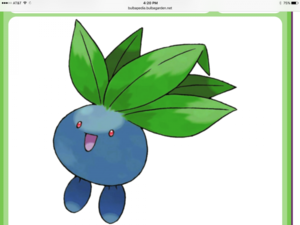img_2069.png