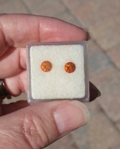 citrines_outside.jpg citrines_outside.jpg