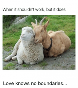 whenitshouldntworkbutitdoesloveknows-no-10451584.png