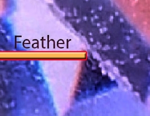 feather_2.jpg