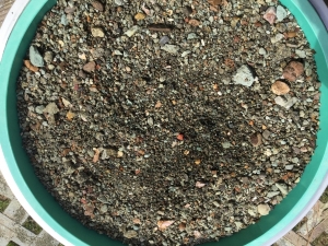 image_4548.jpg