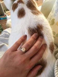 IMG_4350.JPG IMG_4350.JPG