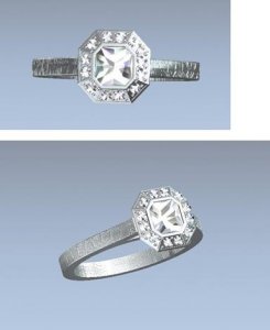 SI2_RingCollage1.JPG