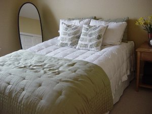 guest bedroom c.jpg