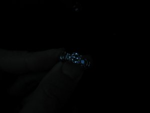 171_7198.JPG