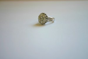 IMG_4434.jpg