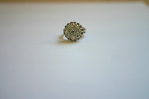 IMG_4435.jpg
