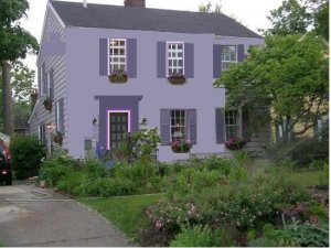 HouseMediumPurple.JPG
