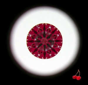 ISGIA13114785.jpg