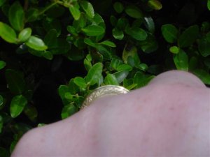DSC02201 (Small).JPG