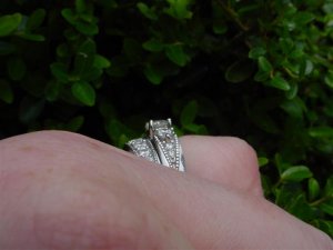 DSC02174 (Small).JPG