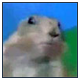 8q903y4tw903qmtx.png
