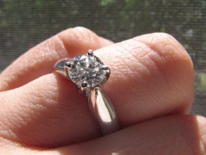 IMG_2815gh.jpg
