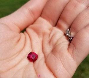 20170915_121910.jpg