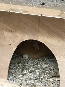 IMG_4074.JPG IMG_4074.JPG