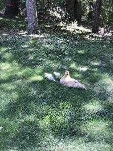 IMG_4107.JPG