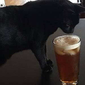 frankielovesbeer.jpg