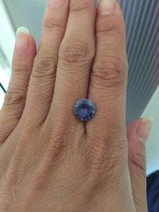 IMG_7421.JPG