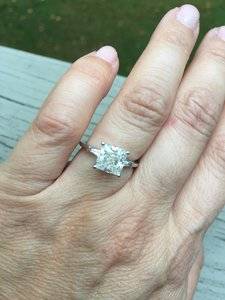 IMG_5743.JPG IMG_5743.JPG
