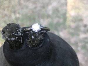 IMG_2123.JPG