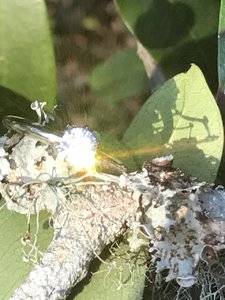IMG_2127.JPG