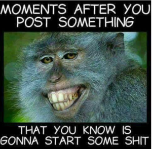 smirking monkey.png