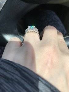 IMG_1381.JPG IMG_1381.JPG