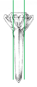 upload_2017-10-7_11-20-57.png