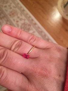 IMG_7154.JPG IMG_7154.JPG
