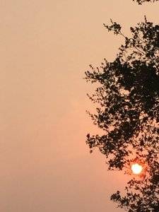 IMG_0356.JPG