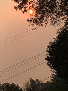 IMG_0357.JPG