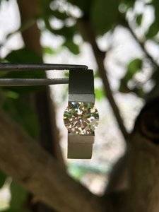 IMG_1690.jpeg