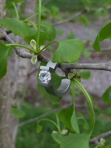 IMG_1710.jpeg