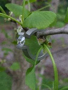 IMG_1712.jpeg