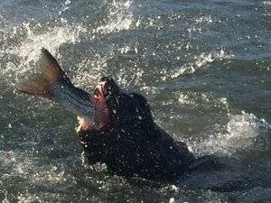 IMG_0366.JPG IMG_0366.JPG