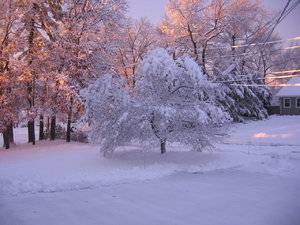 IMG_2540.JPG