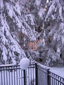 IMG_2529.jpg