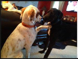 Scout and Sherriff.jpg