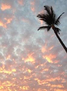 IMG_4706.jpg