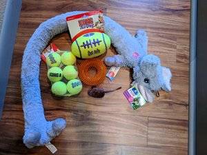 IMG_20171029_120407.jpg